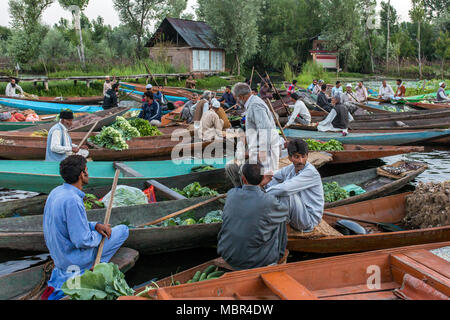 Srinagar, Inde - 16 juin 2017 : les vendeurs de légumes non identifiés en tenant leurs produits vers le marché flottant tôt le matin sur le lac Dal à Srina Banque D'Images