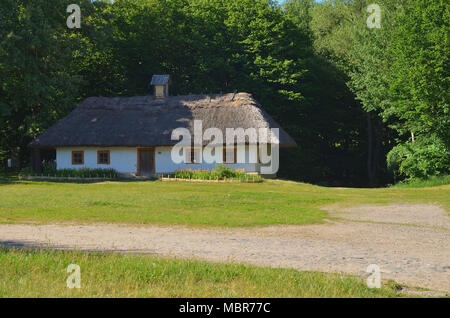 Grande cabane ukrainien avec un toit de paille et de fenêtres en bois. Entouré d'arbres et l'herbe verte Banque D'Images