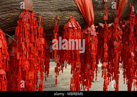 De nombreuses cartes rouges qui souhaitent suspendre à un arbre dans le temple Dongyue, l'est le centre de Pékin, Chine Banque D'Images