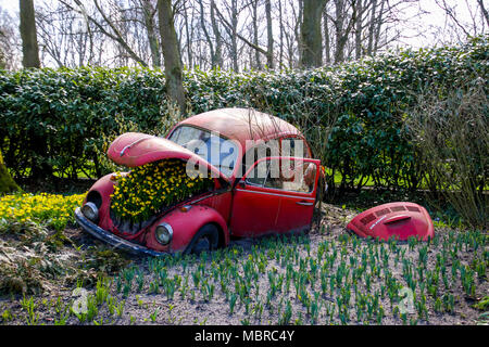 Une vieille Volkwagen beetle sur les jardins de Keukenhof, les Pays-Bas Banque D'Images