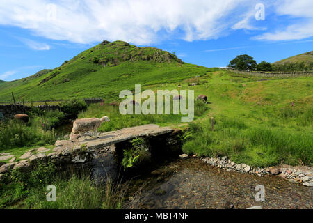 Vue d'été de la vallée de l'Fusedale, Martindale, Parc National de Lake district, comté de Cumbria, Angleterre, Royaume-Uni Banque D'Images