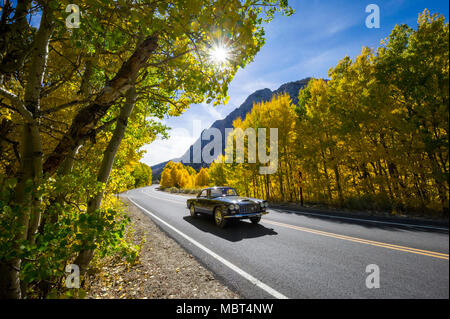 1961 Lancia Flaminia une voiture conduit par Rock Creek Canyon entouré par la couleur de l'automne dans l'Est de la Sierra près de Toms Place, en Californie. Banque D'Images