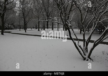 Chicago's Norwood Park juste après les chutes de neige en un jour nuageux. Banque D'Images