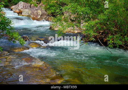 Rivière Froide rapide avec l'eau pure parmi les pierres et les forêts denses de conifères - paysage d'été dans les montagnes de l'Alatau Kouznetsk, Sibérie, Russie. Banque D'Images