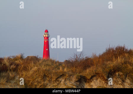 Phare rouge, une dune cultivés avec l'ammophile et l'argousier en premier plan Banque D'Images