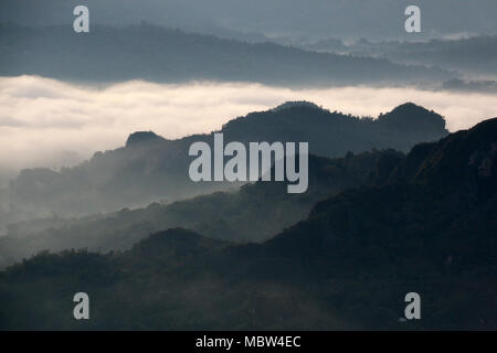 Le fameux nuage bas niveau à Toraja Utara, vu de de'Tombi, Sulawesi, Indonésie Banque D'Images
