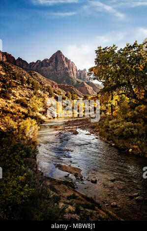 La couleur de l'automne le long de l'embranchement nord de la rivière vierge à la recherche vers la sentinelle dans Zion National Park, Utah Banque D'Images