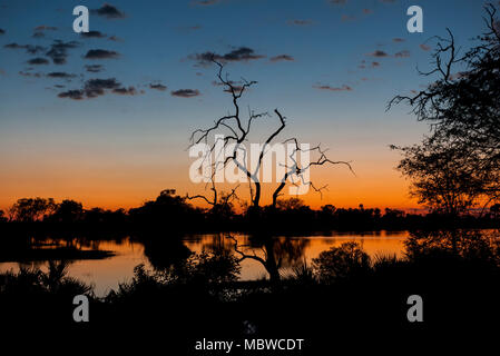 Delta de l'Okavango, au Botswana. 11,04, 2018. Pic montre : un magnifique crépuscule sur le delta à l'Xigera camp Crédit : Alamy/Ian Jacobs Banque D'Images