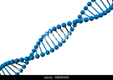 Modèle 3D de la molécule d'ADN isolé sur fond blanc Banque D'Images