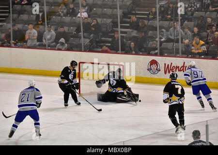 Gardien de l'Armée de Michael Allen de Las Vegas, Nevada, se dévie un tir au but de l'Armée de l'air dans la 5e édition de la force armée contre Air match de hockey 13 janvier 2018, à la patinoire Sullivan à Anchorage. Bien que l'armée a marqué le premier pour commencer le jeu, l'armée de l'Air a pris un avantage de 3-2 dans la série avec un commandant 11-1 raclée de l'armée les patineurs. (Photo de l'Armée/John Pennell) Banque D'Images