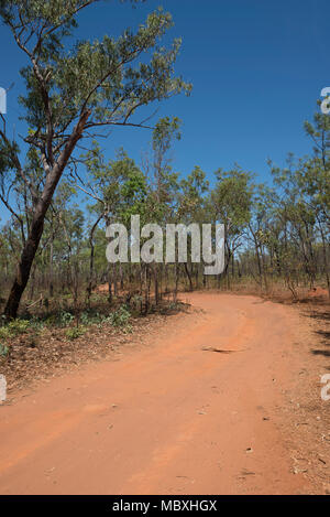 Un chemin à travers la brousse dans la région de Litchfield National Park, Territoire du Nord, Australie Banque D'Images