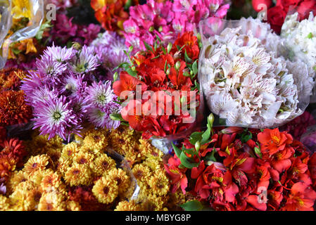 CUZCO, PÉROU - le 29 mars 2018 : des fleurs colorées en vente sur un étal au marché Mercado San Pedro Banque D'Images