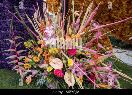 Noordwijkerhout, Pays-Bas - 21 Avril 2017 : décorations floristique à la traditionnelle parade des fleurs Bloemencorso de Noordwijk à Haarlem dans l Banque D'Images