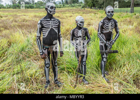 Masalai avec Omo trois guerriers squelette body painting, Mount Hagen Spectacle culturel, Papouasie Nouvelle Guinée Banque D'Images