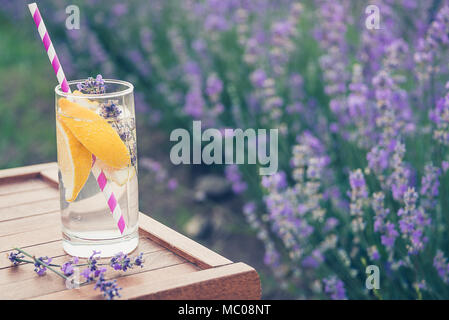 Un verre de limonade rafraîchissante sur une chaise en bois. La floraison des fleurs de lavande dans l'arrière-plan. Banque D'Images