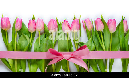 Vue de dessus de tulipes roses disposées en ligne, enveloppés de ruban rose sur fond blanc. Banque D'Images