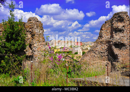 Vue à travers la ville de Rome ruines sur le mont Palatin. Bâtiments colorés vu de gap dans le vieux mur de pierre avec un avant-plan de fleurs sauvages Banque D'Images