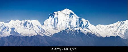 Dhaulagiri mountain au sunrise panorama en Himalaya, Népal Banque D'Images