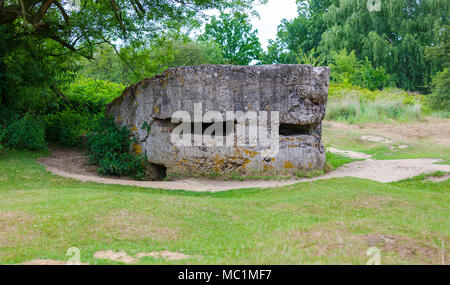 Old German World War One Bunker sur front de l'Ouest, près d'Ypres, Belgique Banque D'Images