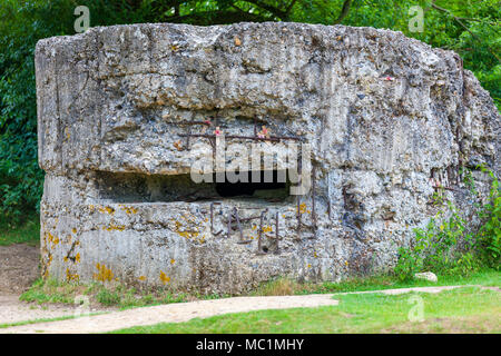 Old German World War One Bunker sur front de l'Ouest, près d'Ypres, Belgique Banque D'Images