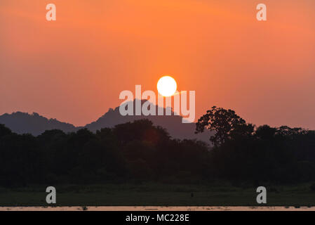 Vue horizontale du soleil au-dessus du réservoir de Minneriya au parc national au Sri Lanka. Banque D'Images