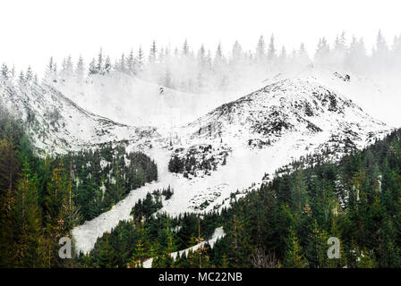 Tatry naturel montagne reflet dans la fenêtre. De l'autre côté de la forêt verte sur le talon. Banque D'Images
