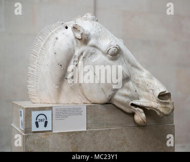 Londres. L'Angleterre. British Museum, sculptures du Parthénon aka marbres d'Elgin. Sculpture de la tête d'un cheval de son char de la déesse de la lune Séléné, Banque D'Images