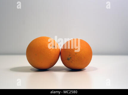 Deux oranges sur une table s'appuyant sur l'autre. Simple et beau fruit vivent encore avec blanc / fond gris. Banque D'Images