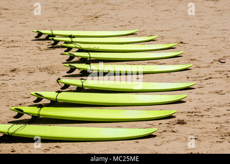 Des planches de surf sur une plage. alignés dans le sable Banque D'Images