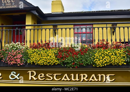 Détail d'une véranda avec rambarde métallique et pots de fleurs d'un jaune vif restaurant près du château de Bunratty. Banque D'Images