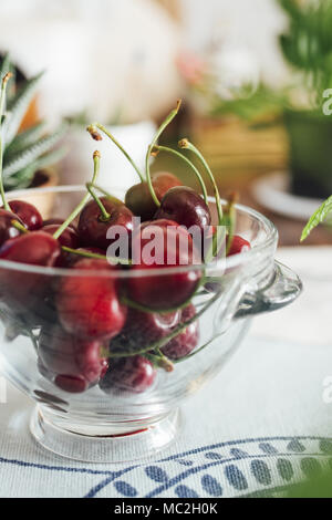 Cerises écologique dans bol en verre, sur la table, cultivé sans pesticides, de cueillette manuelle Banque D'Images