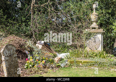 Cimetière St Mildred' au début du printemps, des fleurs jetées sur memorial un tas de compost, primevères jaune dans l'herbe, Tenterden, Kent Banque D'Images