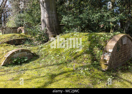 St Mildred's Churchyard au début du printemps, avec d'intéressants tombeaux voûtés en briques avec primroses dans l'herbe, Tenterden, Kent Banque D'Images