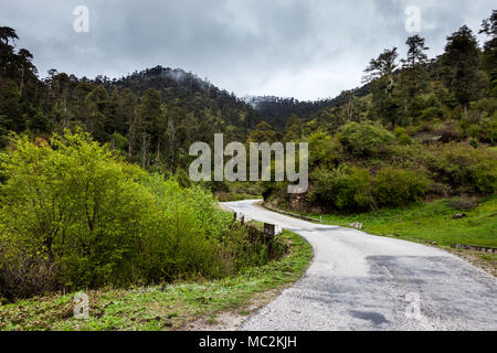 Comme vu sur les paysages un voyage sur la route en direction du centre de Bhoutan, Thimphu de Bumthang Banque D'Images