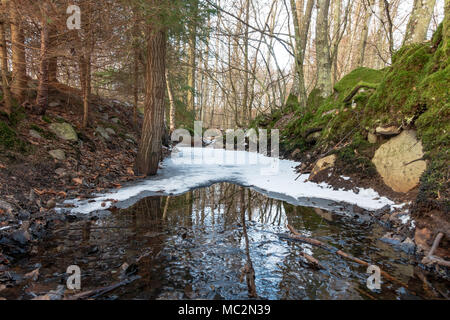 Flux partiellement gelé qui coule à travers la forêt d'hiver Banque D'Images