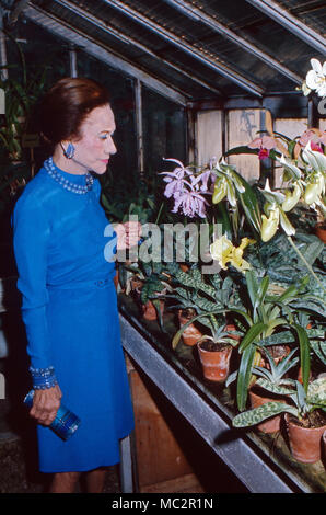 Wallis Simpson, Herzogin von Windsor, in Ihrem Gewächshaus au Bois de Boulogne, Paris, France 1974. La Duchesse de Windsor, Wallis Simpson, dans sa serre en Bois de Boulogne près de Paris, France 1974. Banque D'Images