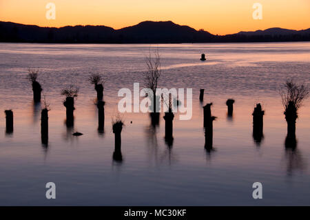 Les pilotis sunset à Columbia River de Cathlamet Waterfront Trail, Elochoman Slough Marina, Cathlamet, Washington Banque D'Images