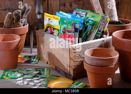 Potager graines dans les paquets sur banc de rempotage en bois Banque D'Images