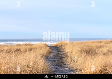 Chemin d'Herbiers - Long Beach, Washington Banque D'Images