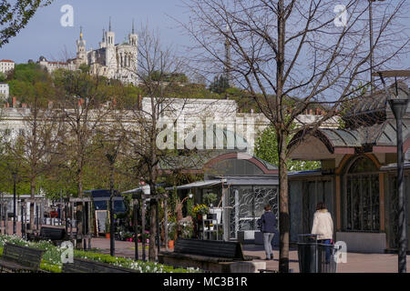 Basilique de Fourvière, vue depuis la place Bellecour, Lyon, France Banque D'Images