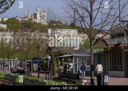 Basilique de Fourvière, vue depuis la place Bellecour, Lyon, France Banque D'Images