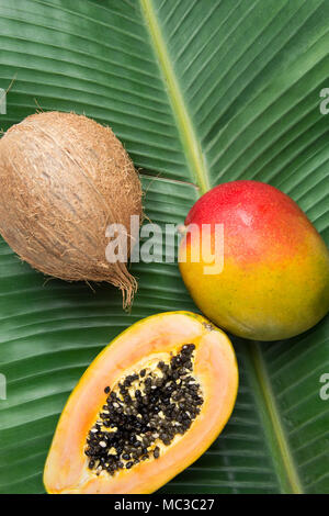Arrière-plan de la nature tropicale mangue mûre noix de coco sur la papaye verte grande feuille de palmier. Mode de vie Alimentation saine vitamines été Voyage Vacances Concept. Poster Banque D'Images