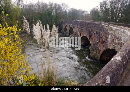 Bickleigh Bridge sur la rivière Exe, Tiverton, Mid Devon, Royaume-Uni. Banque D'Images