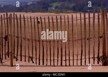 Dawlish Warren sable Clôture sur la réserve naturelle nationale. Plage d'ingénierie, gestion douce dans le sud du Devon, Royaume-Uni. Avril, 2018. Banque D'Images