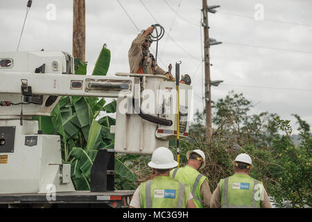 Mayaguez, Puerto Rico, 8 décembre 2017--un pouvoir sécuriser employé prépare ses outils pour commencer la réparation des poteaux électriques dans un secteur de Mayagüez. Financé par la FEMA, pouvoir fixer a signé un contrat avec l'Army Corps of Engineers des États-Unis pour aider à rétablir le réseau électrique du Porto Rico. Banque D'Images