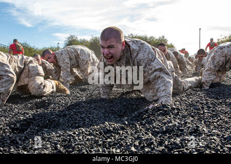 Les recrues de l'entreprise Delta, 1er bataillon de formation des recrues, effectuer des exercices d'échauffement dynamique au cours d'un programme d'arts martiaux du Marine Corps à Marine Corps session formation recruter Depot San Diego, le 19 mars. L'entraînement physique est utilisé non seulement pour renforcer l'organisme, mais aussi pour développer une force de caractère et les valeurs fondamentales, par un travail d'équipe. Chaque année, plus de 17 000 hommes recrutés dans la région de recrutement de l'Ouest sont formés à MCRD San Diego. Delta Entreprise est prévue pour juin 1 diplômés. Banque D'Images