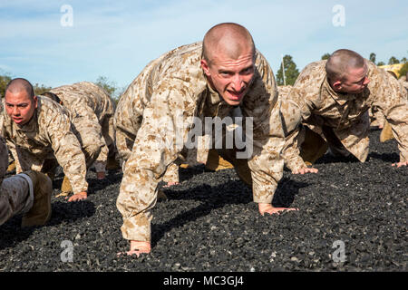 Les recrues de l'entreprise Delta, 1er bataillon de formation des recrues, effectuer des exercices d'échauffement dynamique au cours d'un programme d'arts martiaux du Marine Corps à Marine Corps session formation recruter Depot San Diego, le 19 mars. L'entraînement physique est utilisé non seulement pour renforcer l'organisme, mais aussi pour développer une force de caractère et les valeurs fondamentales, par un travail d'équipe. Chaque année, plus de 17 000 hommes recrutés dans la région de recrutement de l'Ouest sont formés à MCRD San Diego. Delta Entreprise est prévue pour juin 1 diplômés. Banque D'Images