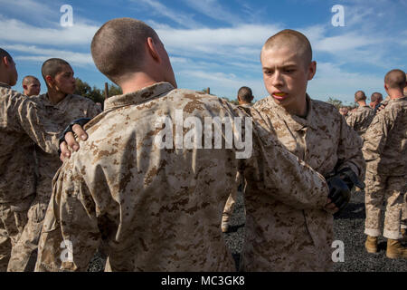 Les recrues de l'entreprise Delta, 1er bataillon de formation des recrues, effectuer des balayages de la jambe lors d'un programme d'arts martiaux du Marine Corps à Marine Corps session formation recruter Depot San Diego, le 19 mars. L'un des buts de MCMAP est d'apprendre aux recrues comment vaincre l'ennemi en utilisant le combat corps à corps. Chaque année, plus de 17 000 hommes recrutés dans la région de recrutement de l'Ouest sont formés à MCRD San Diego. Delta Entreprise est prévue pour juin 1 diplômés. Banque D'Images