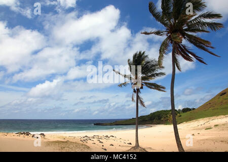 Belle plage Anakena, avec du sable doré et de palmiers tropicaux, l'île de Pâques, Chili. Banque D'Images