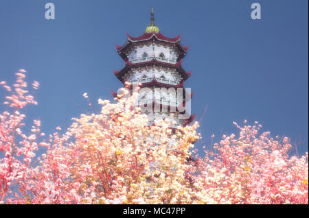 Fuzhou, Fuzhou, Chine. 13 avr, 2018. Fuzhou, Chine 13ème Avril 2018 : paysage nocturne de fleurs et l'ancien bâtiment de Gongye Road à Fuzhou, Chine du sud-est de la province de Fujian (édité) photos : Crédit Asie/SIPA ZUMA Wire/Alamy Live News Banque D'Images